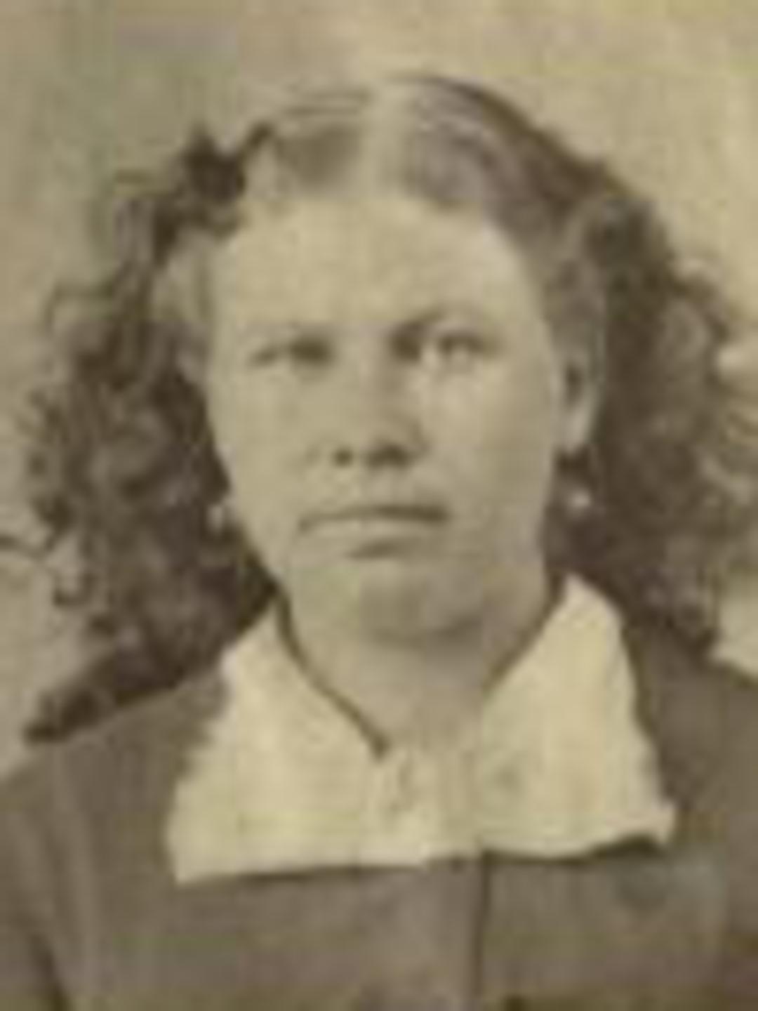 Sidse Marie Larson (1850 - 1921) Profile